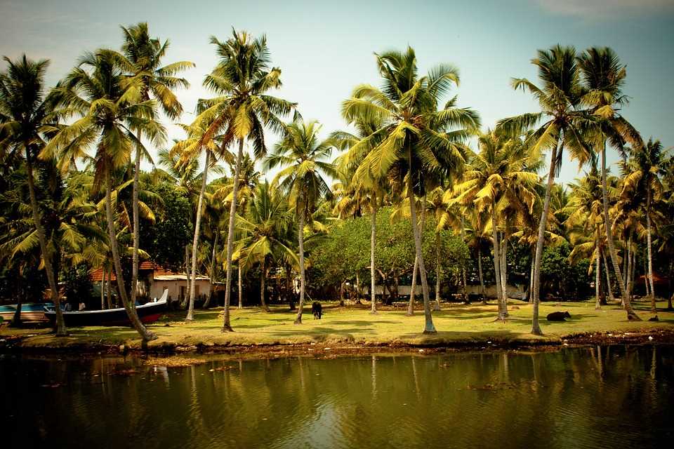 Top Things To Do In Kerala Vacation From Bangalore Dmarket