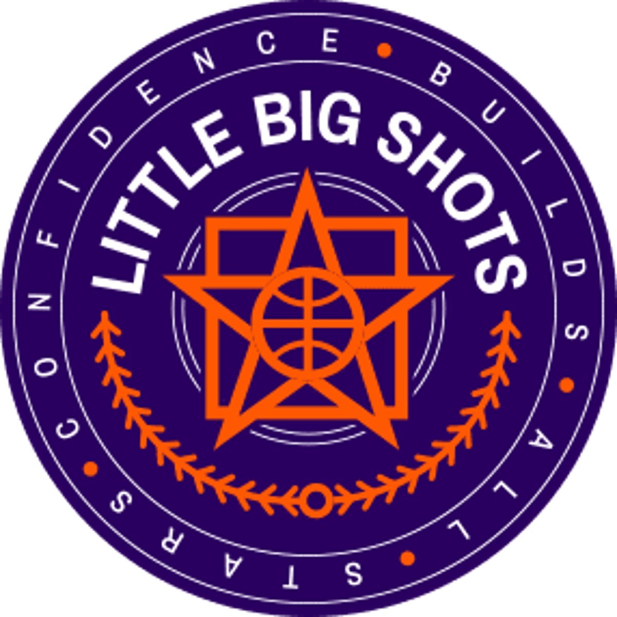 Igniting Passion With Basketball Trainings for Young Adults by Little Big Shots