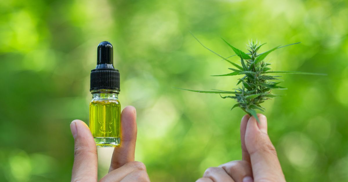 Unlock the Potential of CBD Products for a Healthier You