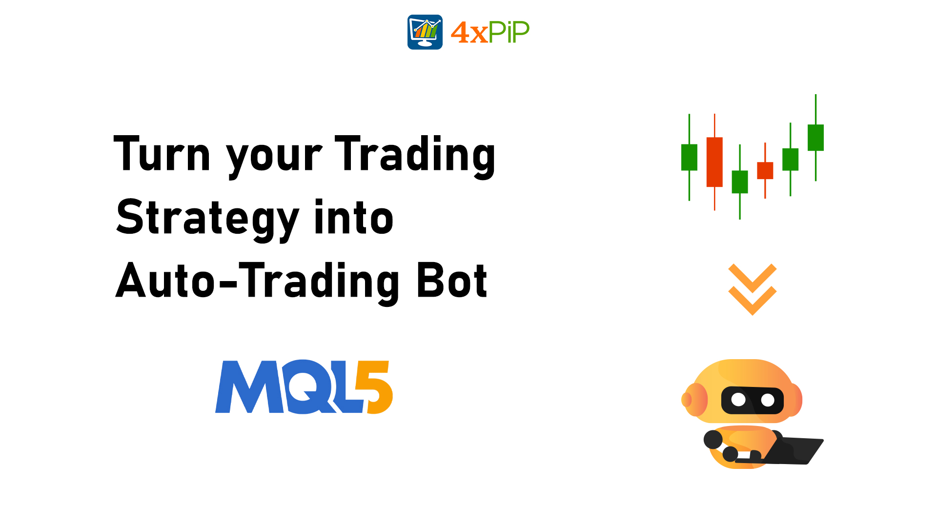 Algorithmic Trading Program Elevate Your Way to the Market