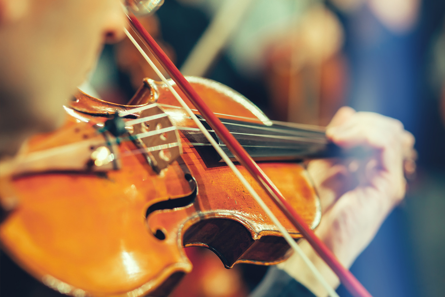 Elevate Your Skills with Violin Lessons in San Francisco