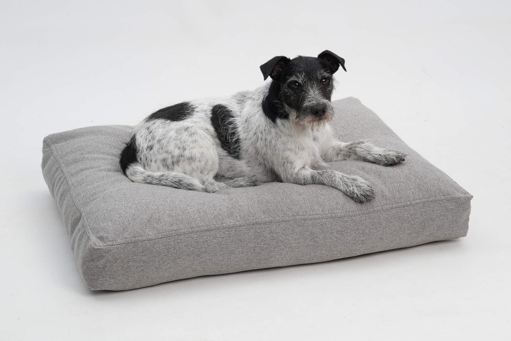 Choosing the Perfect Dog Bed: Tips for Every Pet Owner