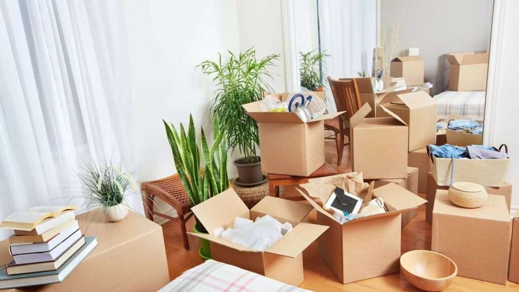 Heavy Item Moving Services in Tampa