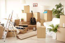 Heavy Item Moving Services in Tampa