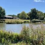 Wylands Fishery